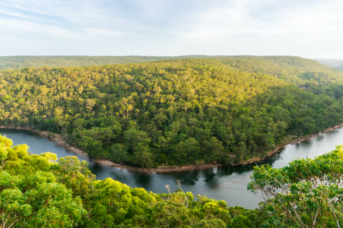 Wide green forested hills curving around a calm river bend.